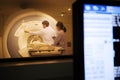 Veterinarian doctor working in MRI scanner room Royalty Free Stock Photo