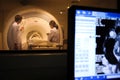 Veterinarian doctor working in MRI scanner room Royalty Free Stock Photo