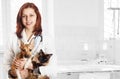 Veterinarian and dog and cat Royalty Free Stock Photo