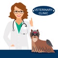 Veterinarian and dog Royalty Free Stock Photo