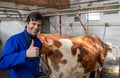 Veterinarian doing rectal examination of cow