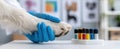 The veterinarian examines a dog's paw for blood sample analysis. AI generated image Royalty Free Stock Photo