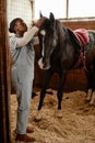 Veterinarian Examining Horse Royalty Free Stock Photo