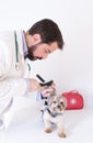 Veterinarian, exploring with an otoscope the ear canal of a yorkshire terrier dog Royalty Free Stock Photo
