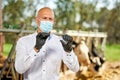 Veterinarian at farm cattle at farm with dairy cows Royalty Free Stock Photo