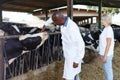 Veterinarian and farmer cows at farm