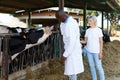 Veterinarian and farmer cows at farm