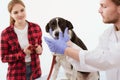 Dog getting checked at vet clinic with thir owner. Royalty Free Stock Photo