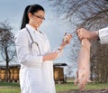 Veterinarian giving vaccine to the piglet Royalty Free Stock Photo