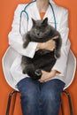 Veterinarian holding cat.