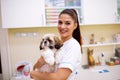 Veterinarian holding little dog at pet ambulance