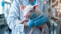 The veterinarian holding piglet. AI generated Royalty Free Stock Photo