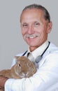 Veterinarian holding rabbit