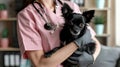 The veterinarian and the dog. AI generated Royalty Free Stock Photo