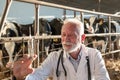 Veterinarian holding syringe and needle for cattle vaccination