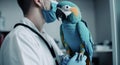 the veterinarian holds a ara parrot on the background of a veterinary clinic.