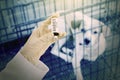 Veterinarian holds rabies vaccine with sick dog Royalty Free Stock Photo