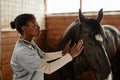 Veterinarian in Horse Stables Royalty Free Stock Photo