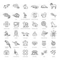 Big vector set, Outline web icon set - pet, vet, pet shop, types of pets Royalty Free Stock Photo