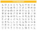 Veterinarian icons set. Outline set of veterinarian vector icons Royalty Free Stock Photo