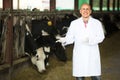 Veterinarian in livestock farm Royalty Free Stock Photo