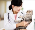 Veterinarian medical doctor with cat