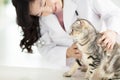 veterinarian medical doctor with cat