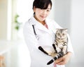 veterinarian medical doctor with cat