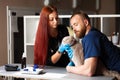 Veterinarian and nurse bandaging wounded cat`s