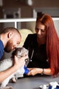 Veterinarian and nurse bandaging wounded cat`s paw