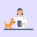 Veterinarian in the office holding dog. Veterinary doctor. Vet clinic Royalty Free Stock Photo