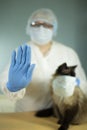 A veterinarian in protective clothing shows a Stop sign, stopping the epidemic, holding a cat in his hands.