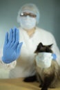 A veterinarian in protective clothing shows a Stop sign, stopping the epidemic, holding a cat in his hands.