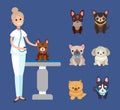 Veterinarian Service, Pets Clinic with Dogs Breeds