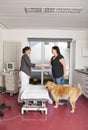 Veterinarian shaking hands with dog onwer Royalty Free Stock Photo