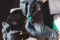 Veterinarian specialist holding small black dog and applying drops at the withers, medicine from parasites, ticks, worms and fleas