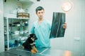 Veterinarian specialist looks at x-ray of the dog