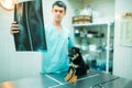 Veterinarian specialist looks at x-ray of the dog
