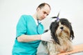 Veterinarian surgeon treating dog Royalty Free Stock Photo