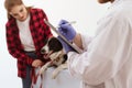 Vet holding clipboard getting dog checked.