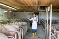 Veterinarian walking in facility checking counting pigs using tablet