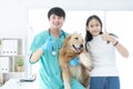 The veterinarian was with the dog and the dog owner in the examination room. Veterinary and owner show thmub up