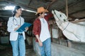 a veterinarian wearing a uniform with a rancher standing near the cows