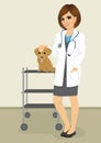 Veterinarian woman standing with labrador puppy in her office veterinary clinic