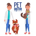 Veterinarian Woman Vector. Dog And Cat. Clinic For Animals. Pet Doctor, Nurse. Treatment For Wild, Domestic Animals Royalty Free Stock Photo