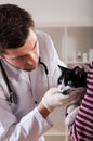 Veterinarian at work Royalty Free Stock Photo