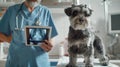 The veterinarian with xray. AI generated Royalty Free Stock Photo