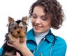 Veterinarian with Yorkshire Terrier