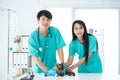 Veterinarians and female nurses are examining cats in pet hospitals Royalty Free Stock Photo