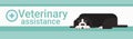 Veterinary Assistance Clinic For Animals Pets Vet Service Banner Royalty Free Stock Photo